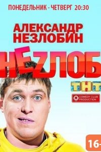 Незлоб 2013
