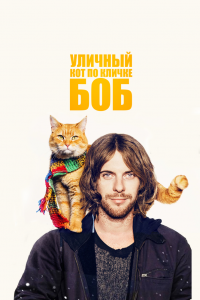 Уличный кот по кличке Боб 2016
