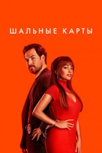 Дикие карты 2023-2024